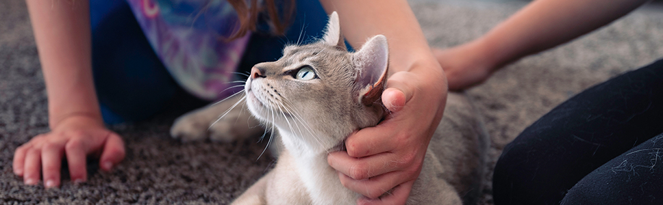Mehr zu diesem Thema